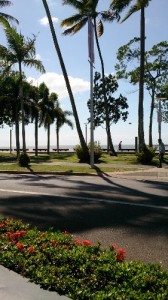 DSC_0595 (281x500)