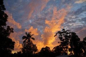 DSC06326 (300x199)