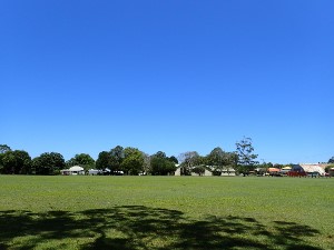 PA230122 (300x225)