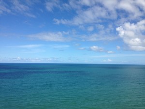 IMG_0535 (300x225)