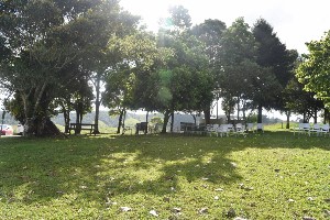 DSC_0190 (300x200)