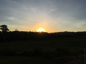 IMG_8042 (300x225)