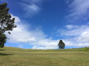 IMG_8365 (300x225)