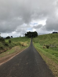 IMG_7753