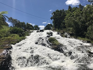 IMG_4979