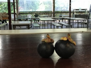 IMG_5433